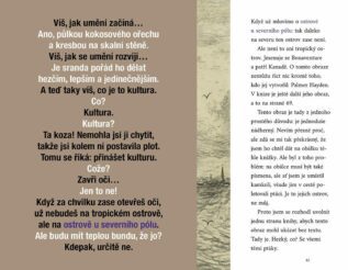 Ukázka