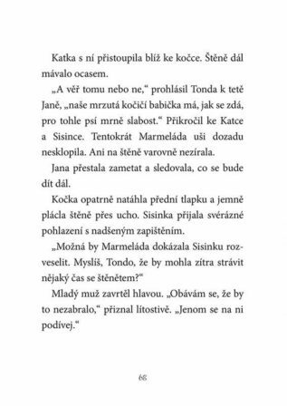 Ukázka