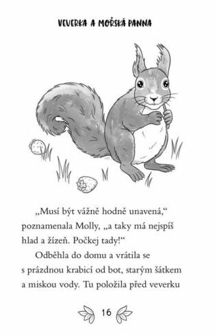 Ukázka