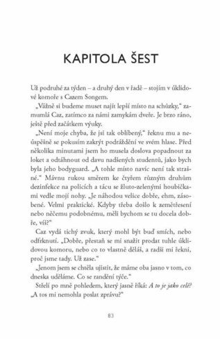 Ukázka