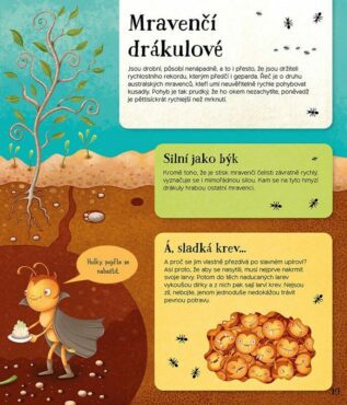 Ukázka