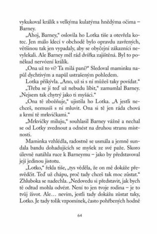 Ukázka