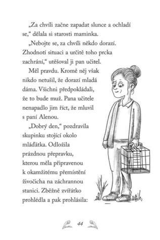 Ukázka
