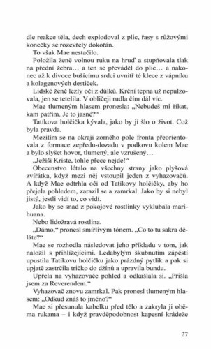 Ukázka