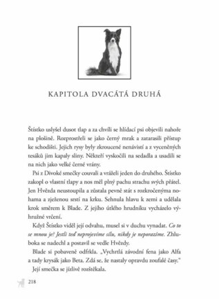 Ukázka