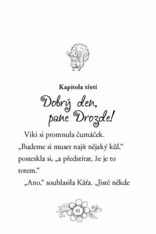 Ukázka