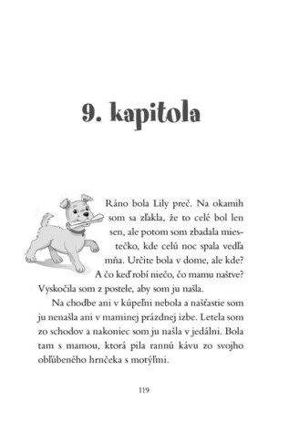 Ukázka