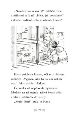 Ukázka