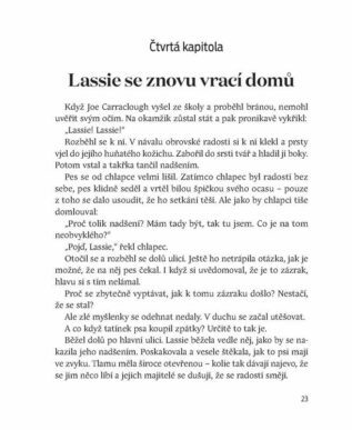 Ukázka