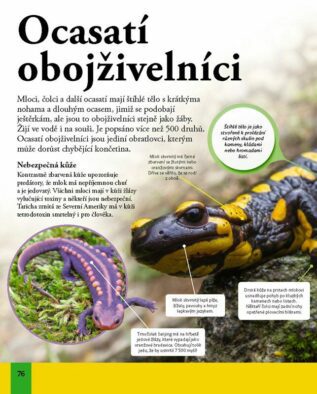 Ukázka