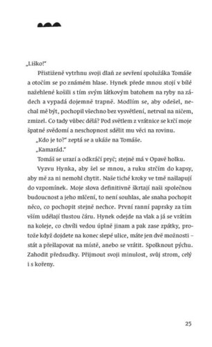 Ukázka