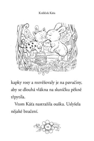 Ukázka