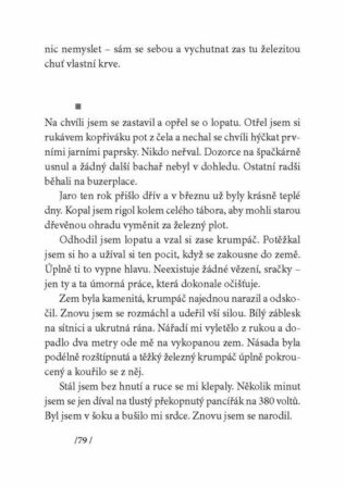 Ukázka