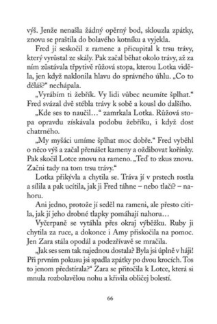 Ukázka