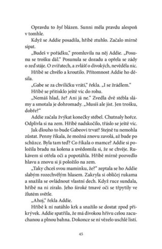 Ukázka