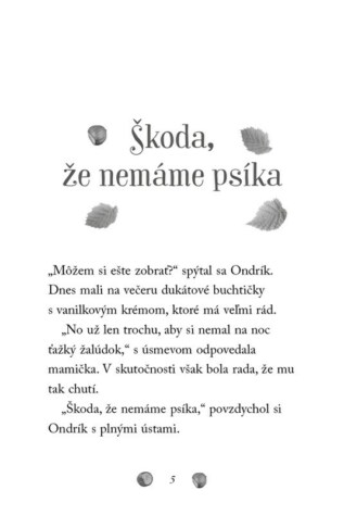 Ukázka