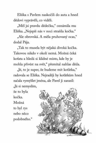 Ukázka