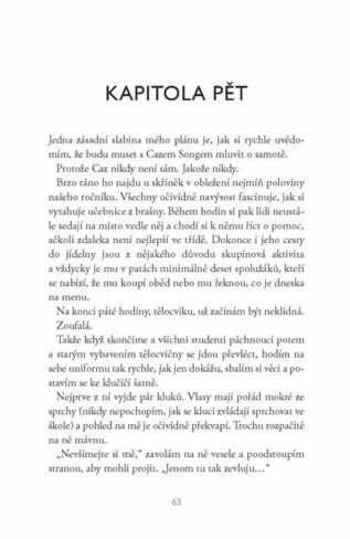 Ukázka