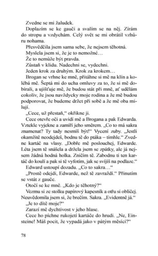 Ukázka