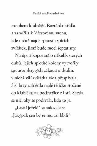Ukázka