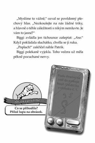 Ukázka