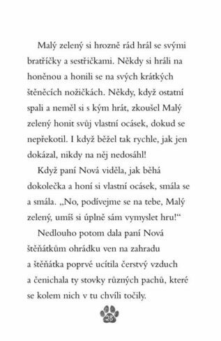 Ukázka