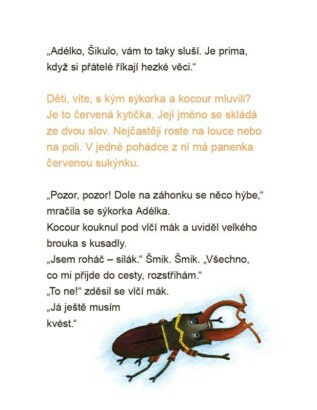 Ukázka