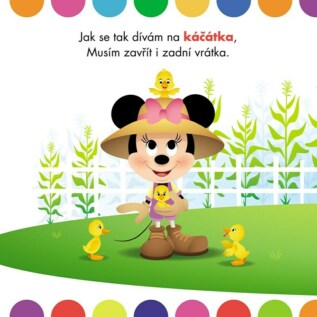 Ukázka
