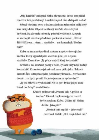 Ukázka