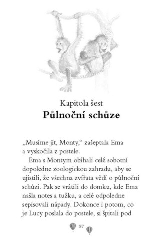 Ukázka