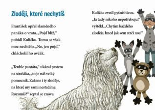 Ukázka