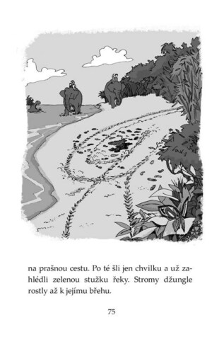 Ukázka