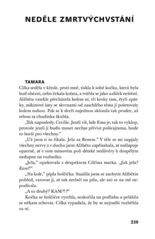 Ukázka