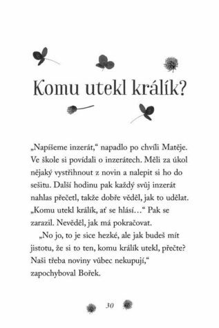 Ukázka
