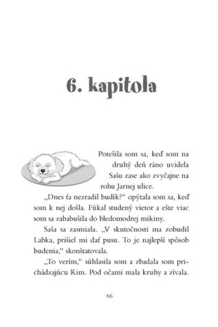 Ukázka