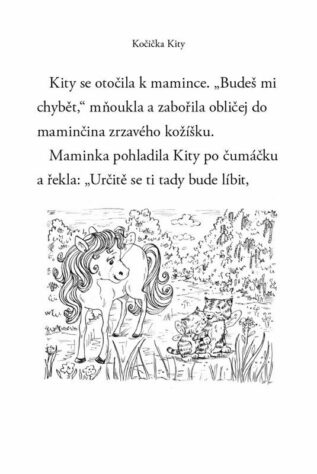 Ukázka