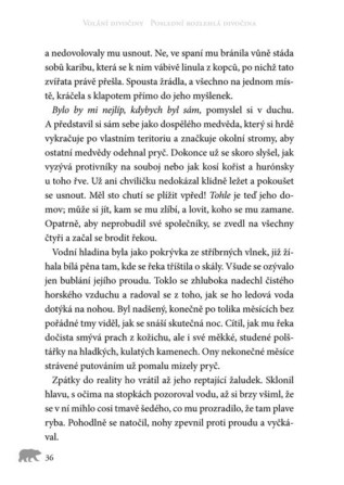 Ukázka