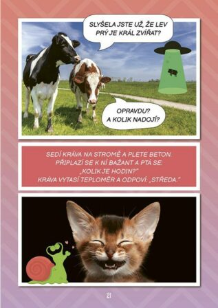 Ukázka