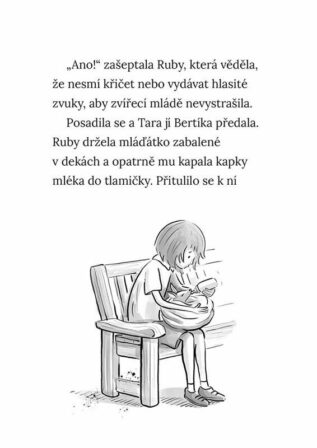 Ukázka
