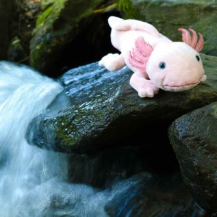 Plyšový axolotl 33 cm ECO-FRIENDLY