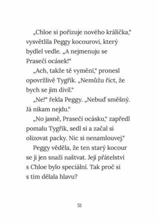 Ukázka
