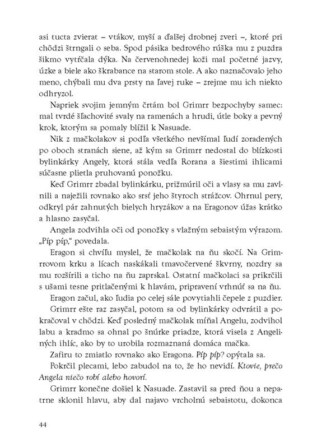 Ukázka