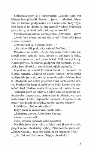 Ukázka