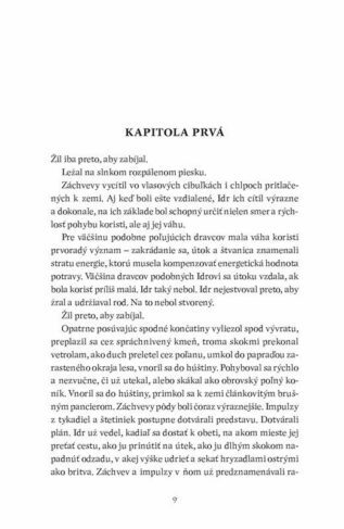Ukázka