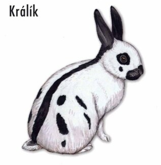 Ukázka