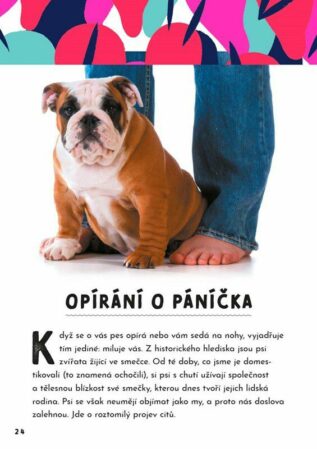 Ukázka
