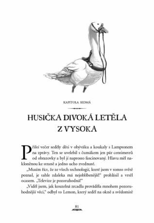 Ukázka