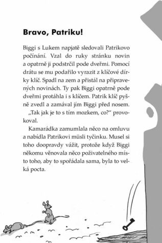 Ukázka