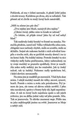 Ukázka