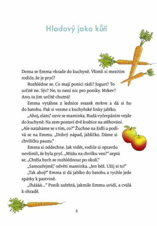 Ukázka
